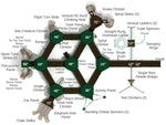 Playground Equipment Tallgrass Prairie (PFA012) - SchoolOutlet