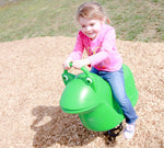 Playground Equipment Filbert Frog Fun Bounce (PFB004) - SchoolOutlet