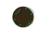 Playground Equipment Galaxy Disc (PFS058) - SchoolOutlet