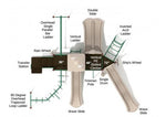 Playground Equipment Imperial Springs (PKP024X) - SchoolOutlet