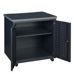 Regency Mesa Steel Mobile Locking 2 - Door Storage Utility Cabinet 30