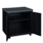 Regency Mesa Steel Mobile Locking 2 - Door Storage Utility Cabinet 30