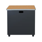 Regency Mesa Steel Mobile Locking Utility/Fax/Copy Table 30