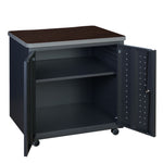 Regency Mesa Steel Mobile Locking 2 - Door Storage Utility Cabinet 30