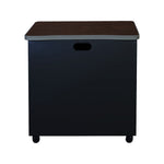 Regency Mesa Steel Mobile Locking 2 - Door Storage Utility Cabinet 30