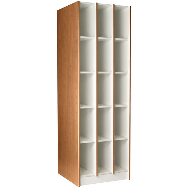 20" Deep Instrument Storage with Solid Doors (89710 278420 B) - SchoolOutlet