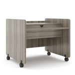 Tot Mate Multi - Level Mobile Technology and Activity Desk 30