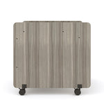 Tot Mate Multi - Level Mobile Technology and Activity Desk 30