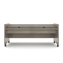Tot Mate Multi-Level Double Mobile Technology and Activity Desk 60"W x 27.5"D x 26"H Assembled (TOT-TM2325A)