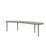 Tot Mate Kidney Classroom Activity with Adjustable Table 72