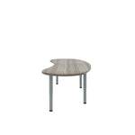 Tot Mate Kidney Classroom Activity with Adjustable Table 72