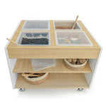 Whitney Brothers elevatED™ Mobile Sensory Table 34