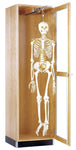 Diversified Woodcrafts Hanging Skeleton Storage Cabinet - 24