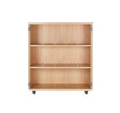 Diversified Woodcrafts Mobile Microscope Cabinet - Solid Oak (Diversified Woodcrafts DIV-4711K)
