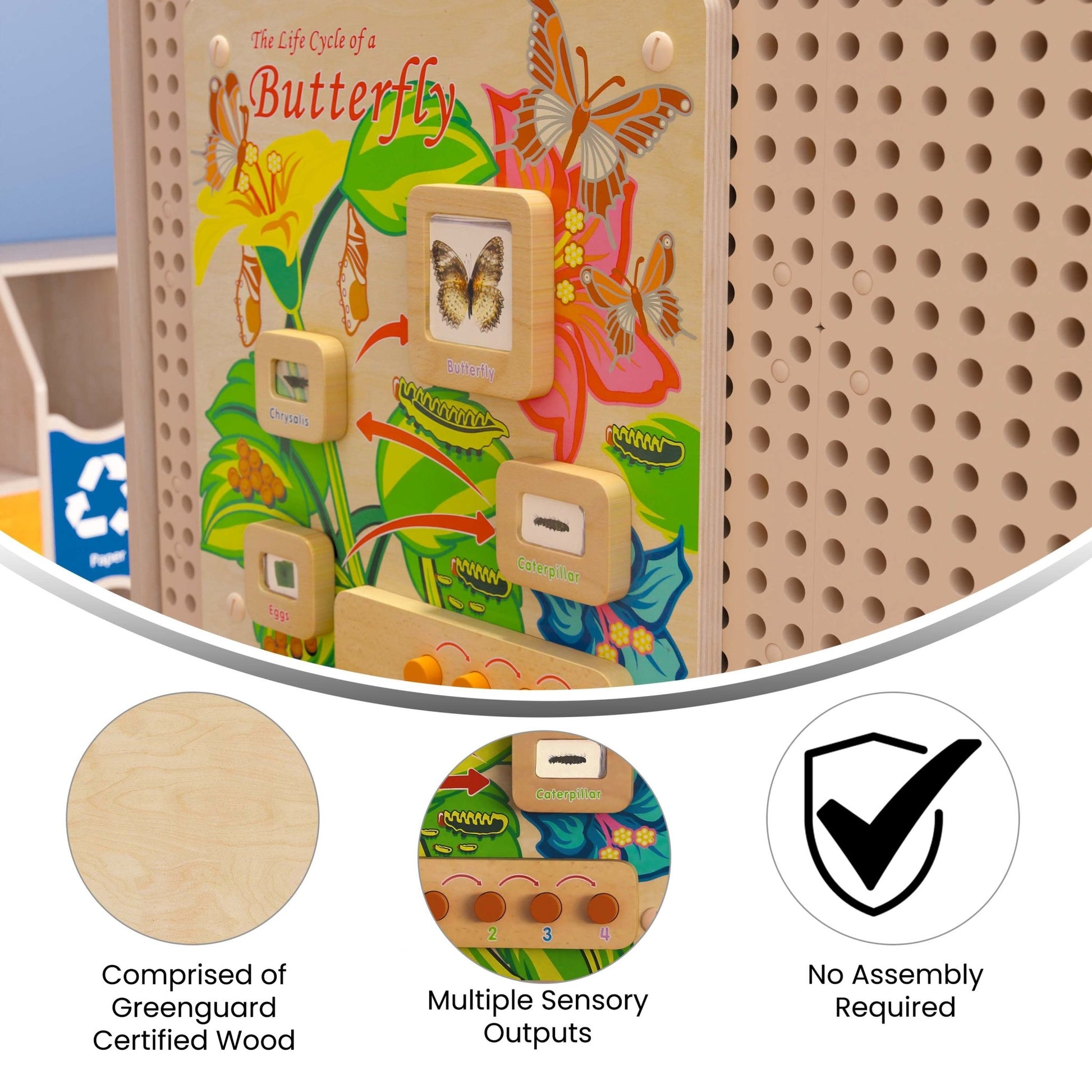 Bright Beginnings Commercial Grade STEAM Wall Activity Board with Natural Finish and Multicolor Accents, Butterfly Life Cycle - SchoolOutlet