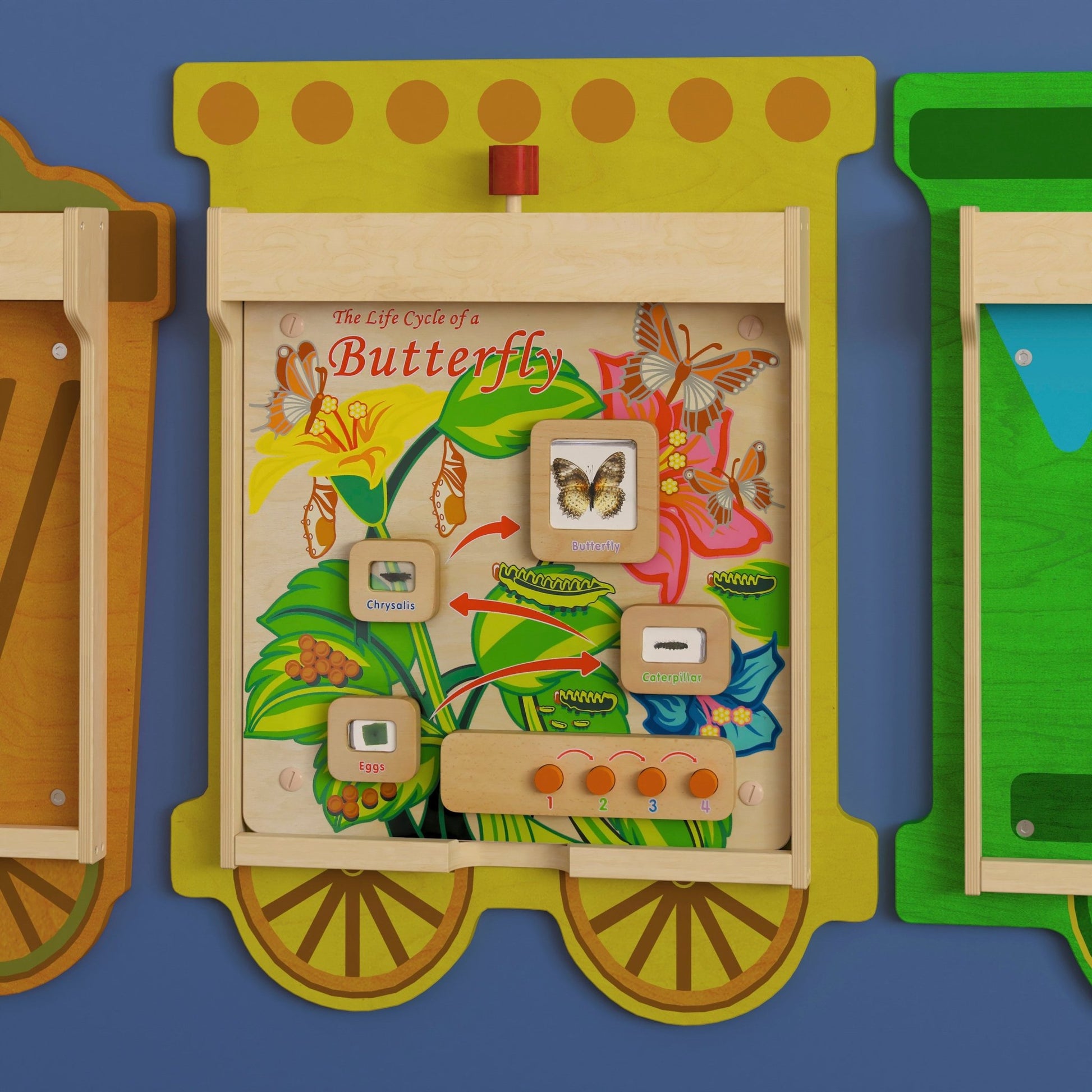 Bright Beginnings Commercial Grade STEAM Wall Activity Board with Natural Finish and Multicolor Accents, Butterfly Life Cycle - SchoolOutlet