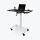 Sit-to-Stand Standing Desks