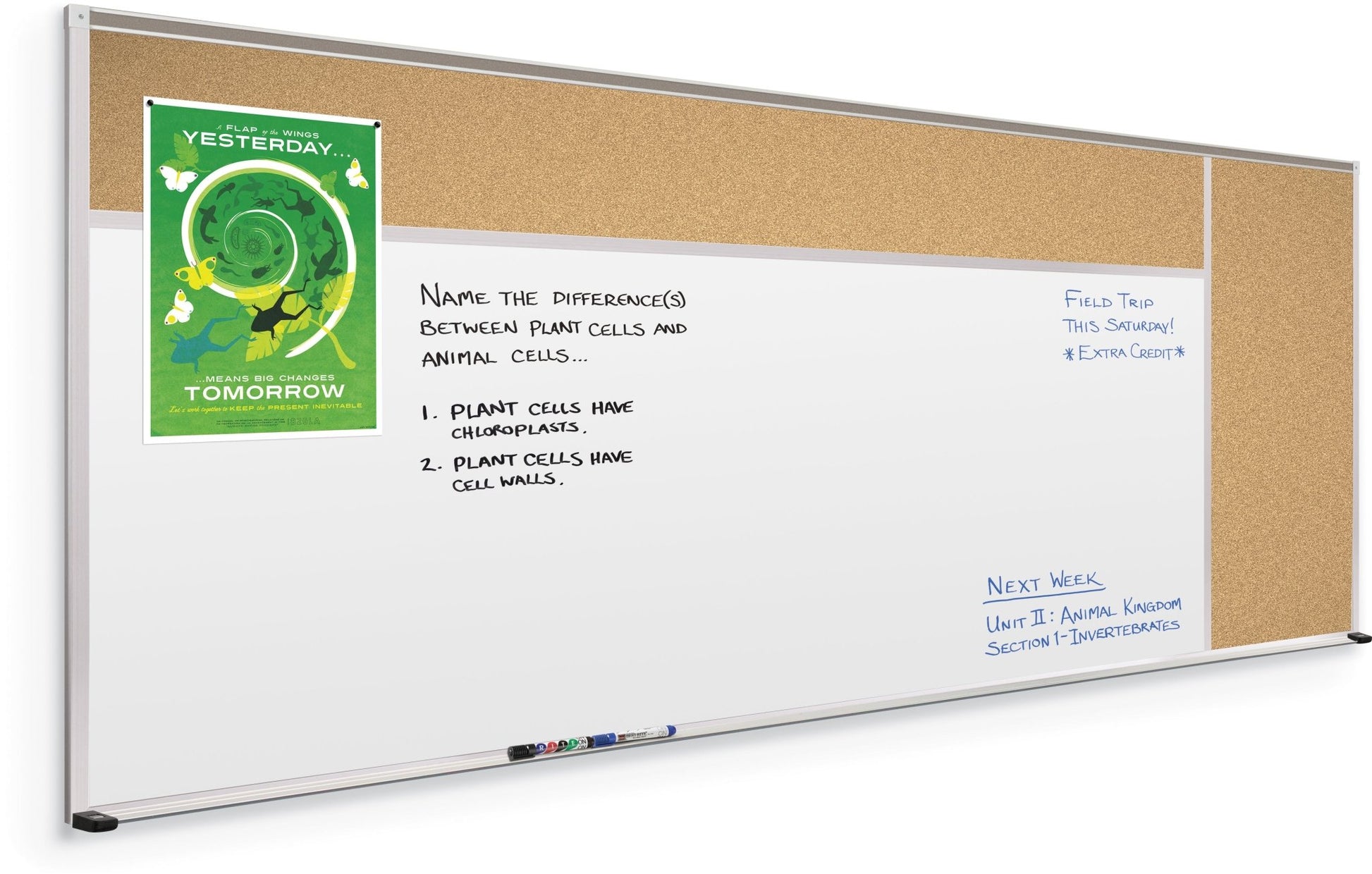 Mooreco Combination Board - Porcelain Steel Markerboard and Natural Cork Tackboard (Type D) - SchoolOutlet