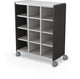 Bin & Tote Storage