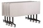 NPS ToGo Table, 30