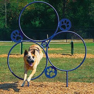 UltraPlay Dog Park Supplies Hoop Jump (Playcore PLA-TBARK-430) - SchoolOutlet