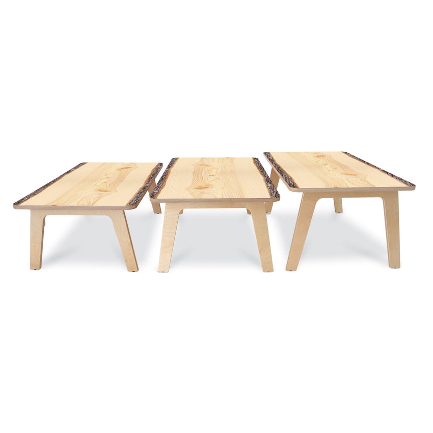 Whitney Brothers Nature View Live Edge Rectangle Table 20" Height - SchoolOutlet