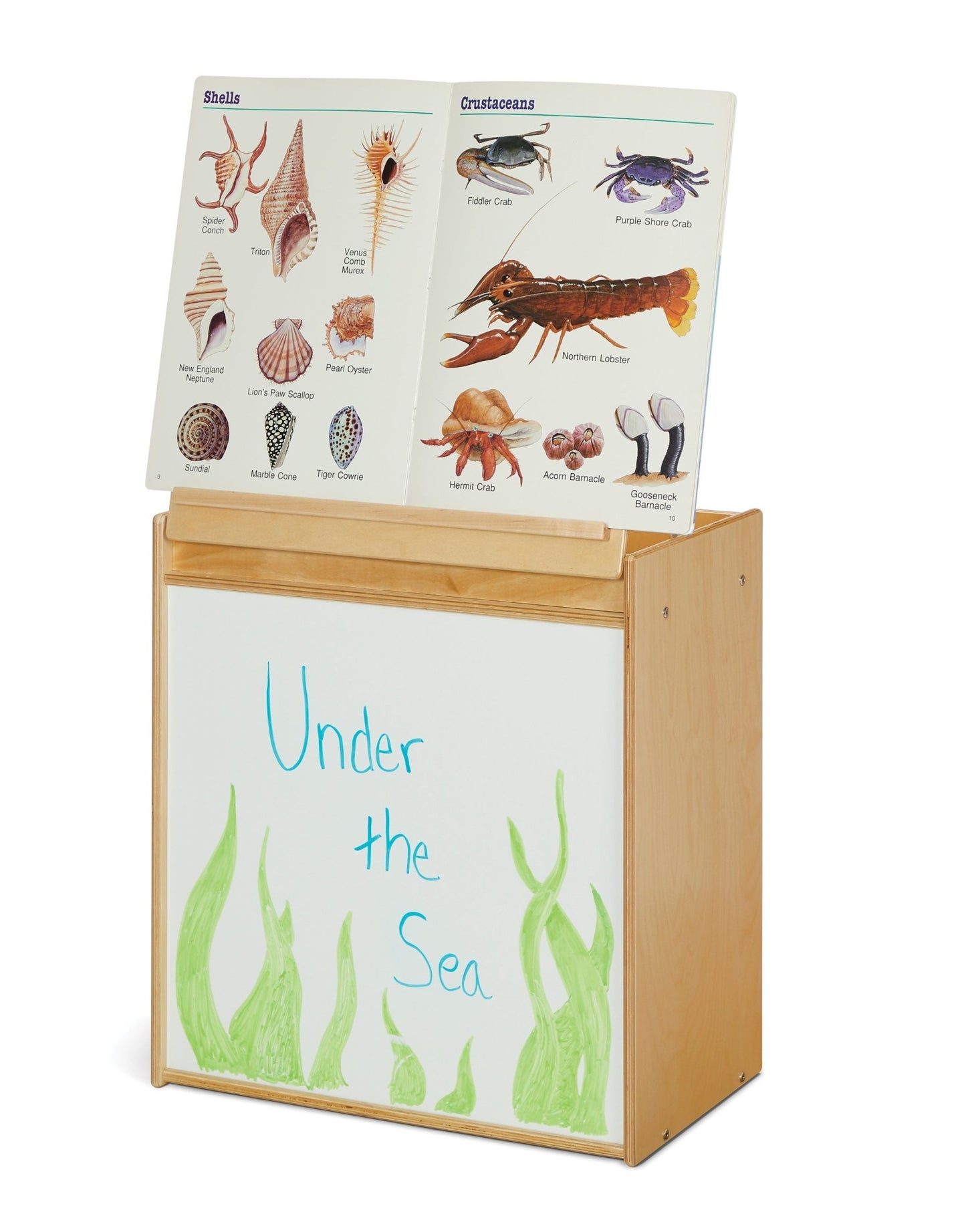 Young Time Big Book Easel - Ready-to-Assemble (Young Time YOU-7094YT) - SchoolOutlet